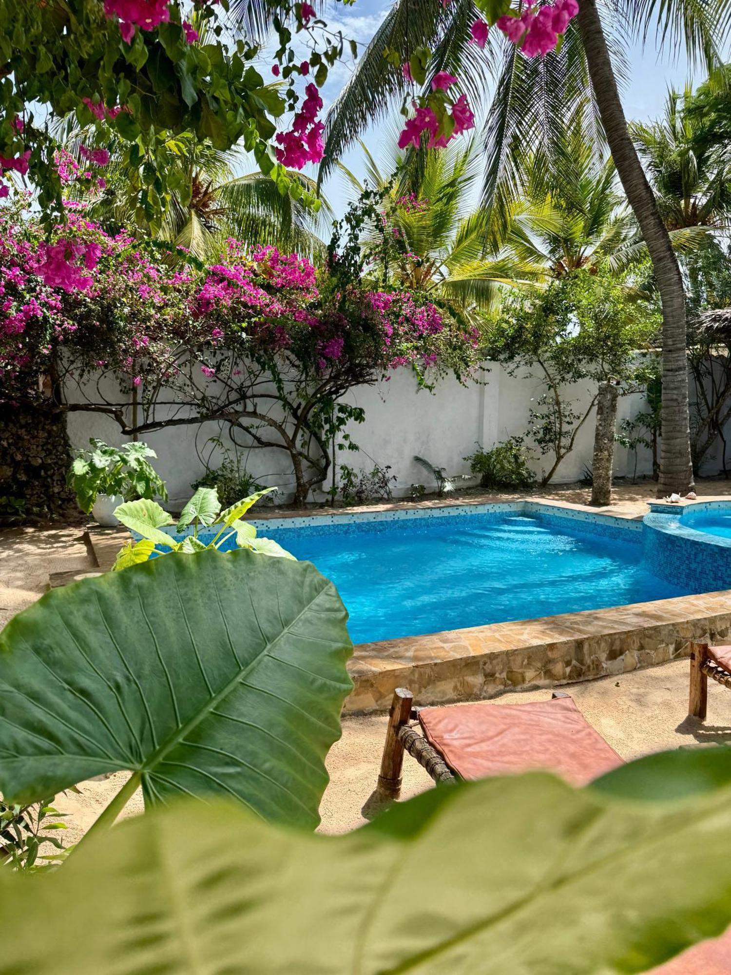 Villa Kipara - Private Beach & Pool Pwani Mchangani Zewnętrze zdjęcie