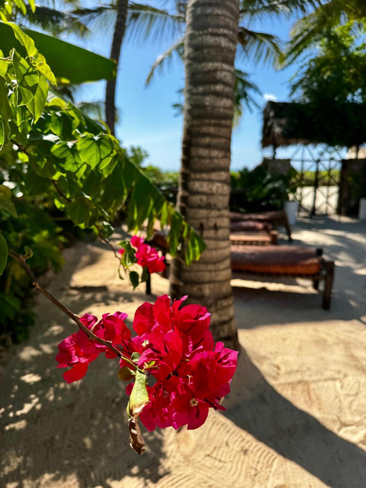 Villa Kipara - Private Beach & Pool Pwani Mchangani Zewnętrze zdjęcie